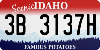 ID license plate 3B3137H