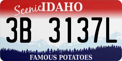ID license plate 3B3137L