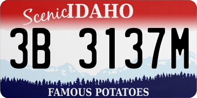 ID license plate 3B3137M