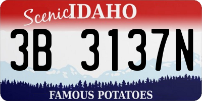 ID license plate 3B3137N