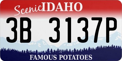 ID license plate 3B3137P