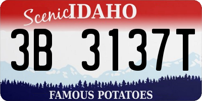 ID license plate 3B3137T