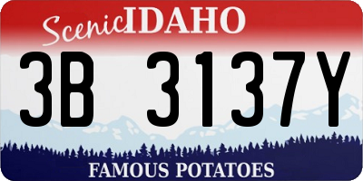 ID license plate 3B3137Y