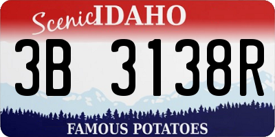 ID license plate 3B3138R