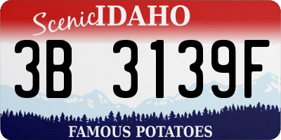 ID license plate 3B3139F