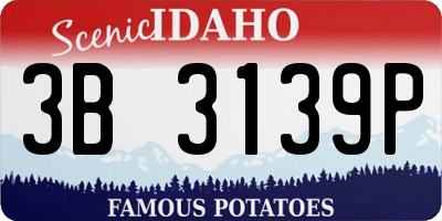 ID license plate 3B3139P