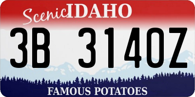 ID license plate 3B3140Z
