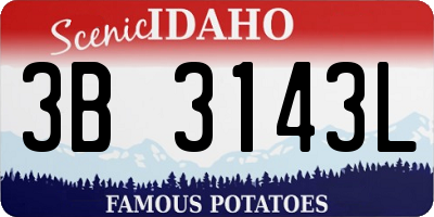 ID license plate 3B3143L