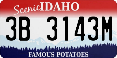 ID license plate 3B3143M