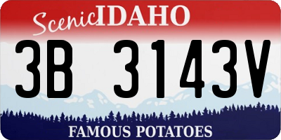 ID license plate 3B3143V