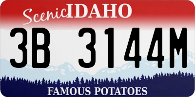 ID license plate 3B3144M