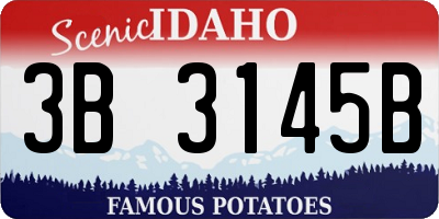ID license plate 3B3145B