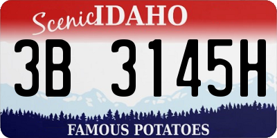 ID license plate 3B3145H