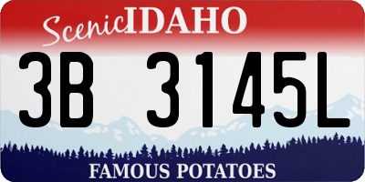 ID license plate 3B3145L