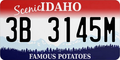 ID license plate 3B3145M