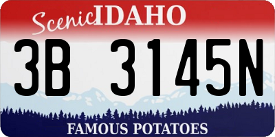 ID license plate 3B3145N