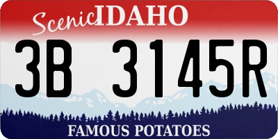 ID license plate 3B3145R