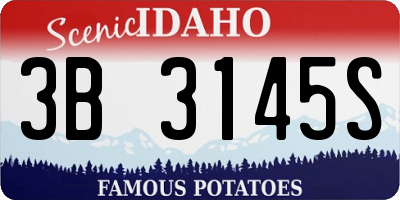 ID license plate 3B3145S