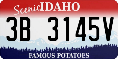 ID license plate 3B3145V