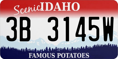 ID license plate 3B3145W