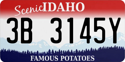 ID license plate 3B3145Y