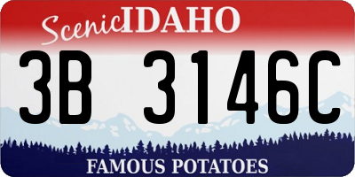 ID license plate 3B3146C