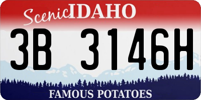 ID license plate 3B3146H