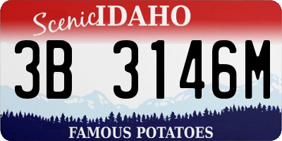 ID license plate 3B3146M