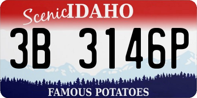 ID license plate 3B3146P