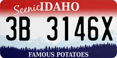 ID license plate 3B3146X