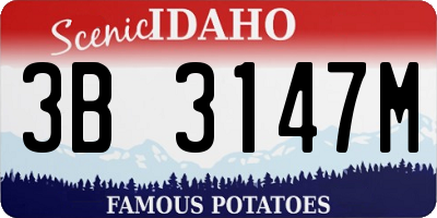 ID license plate 3B3147M