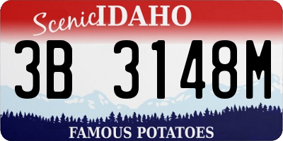 ID license plate 3B3148M