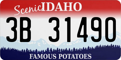 ID license plate 3B3149O