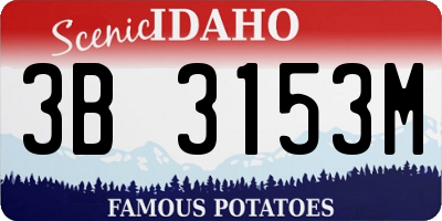 ID license plate 3B3153M