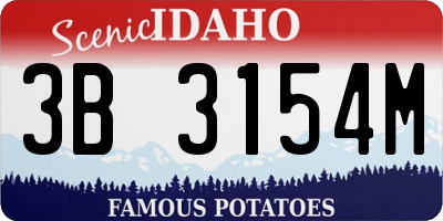 ID license plate 3B3154M