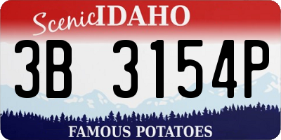 ID license plate 3B3154P