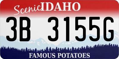 ID license plate 3B3155G