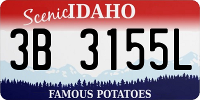 ID license plate 3B3155L