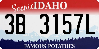 ID license plate 3B3157L