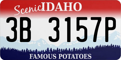 ID license plate 3B3157P