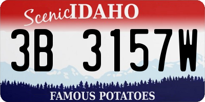 ID license plate 3B3157W