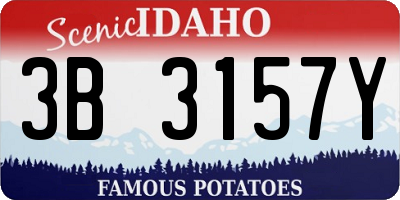 ID license plate 3B3157Y