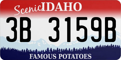 ID license plate 3B3159B
