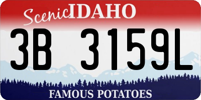 ID license plate 3B3159L