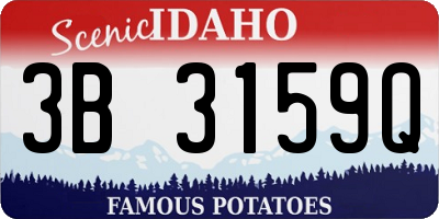 ID license plate 3B3159Q