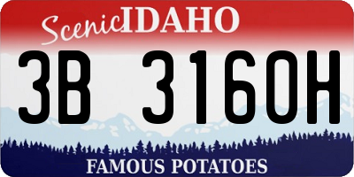 ID license plate 3B3160H