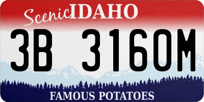 ID license plate 3B3160M