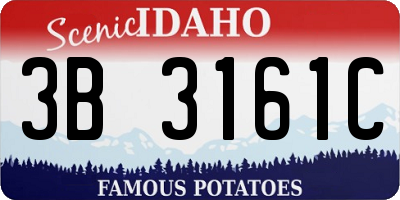 ID license plate 3B3161C