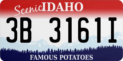 ID license plate 3B3161I
