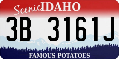 ID license plate 3B3161J